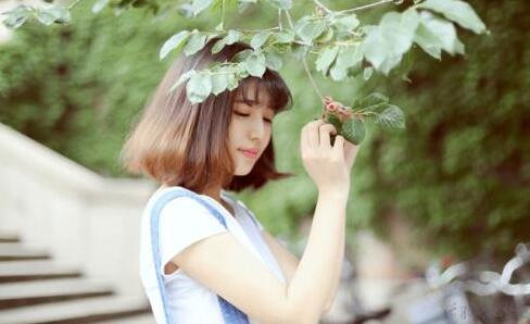 85年属牛的幸运数字是多少 85年属牛的幸运花是什么花